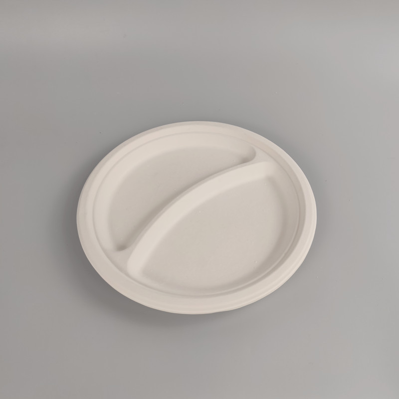 plates from sugarcane waste