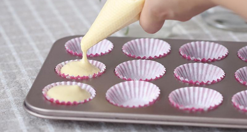 Seashell Cupcake Liners