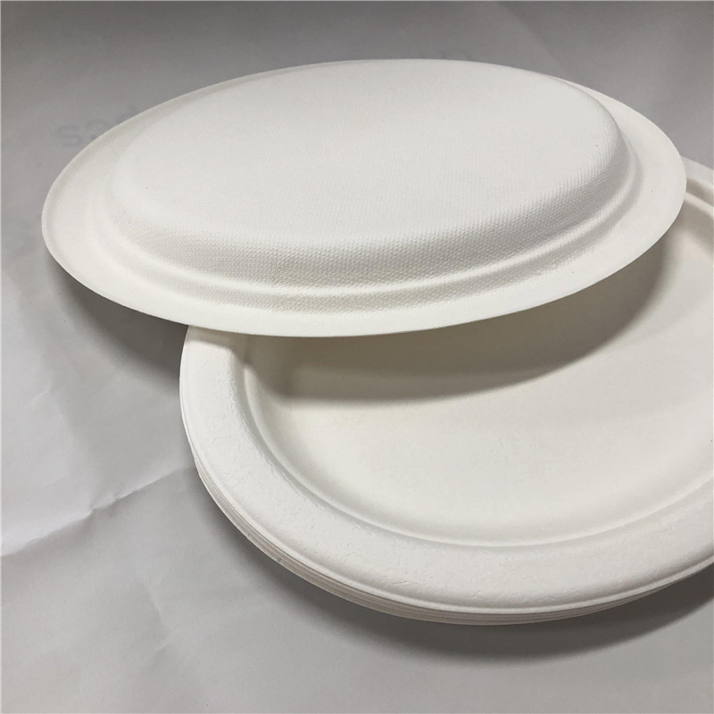 Sugarcane Bagasse Plates