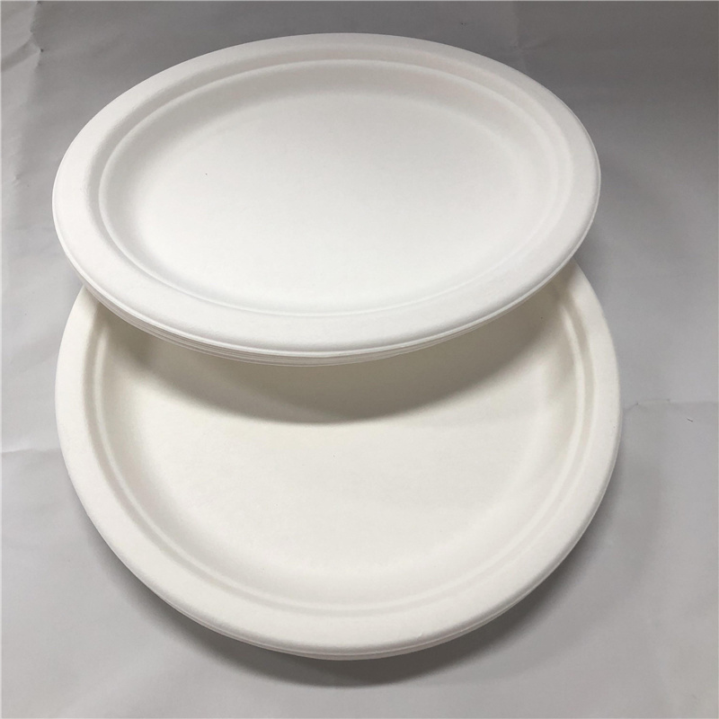 Sugarcane Pulp Plates