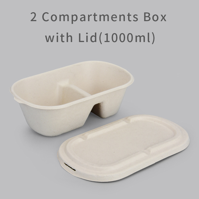 Sugarcane Packaging Box Sugarcane Packaging Box