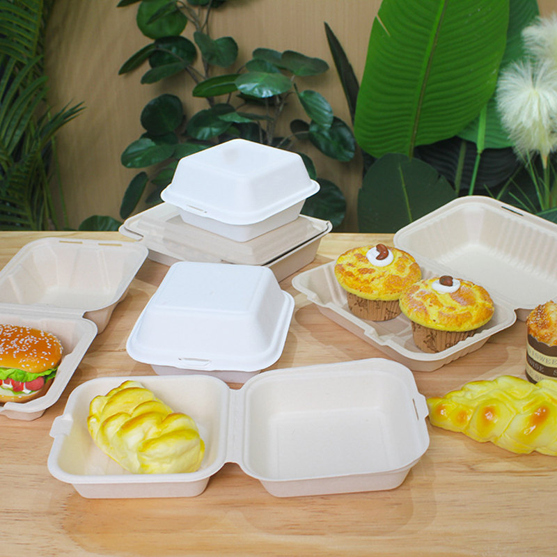 Bagasse Burger Boxes