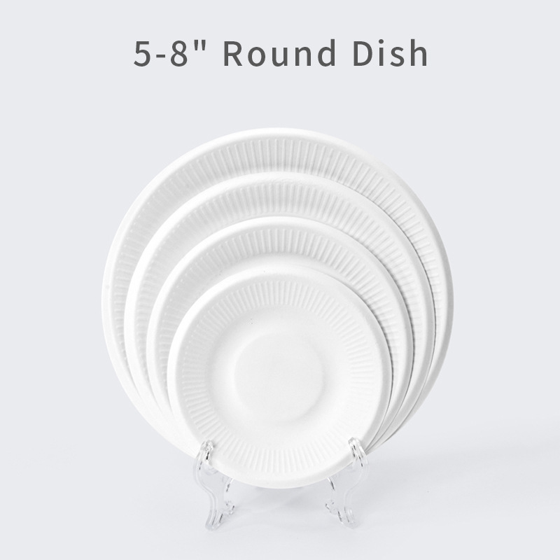 Bagasse Square Plate