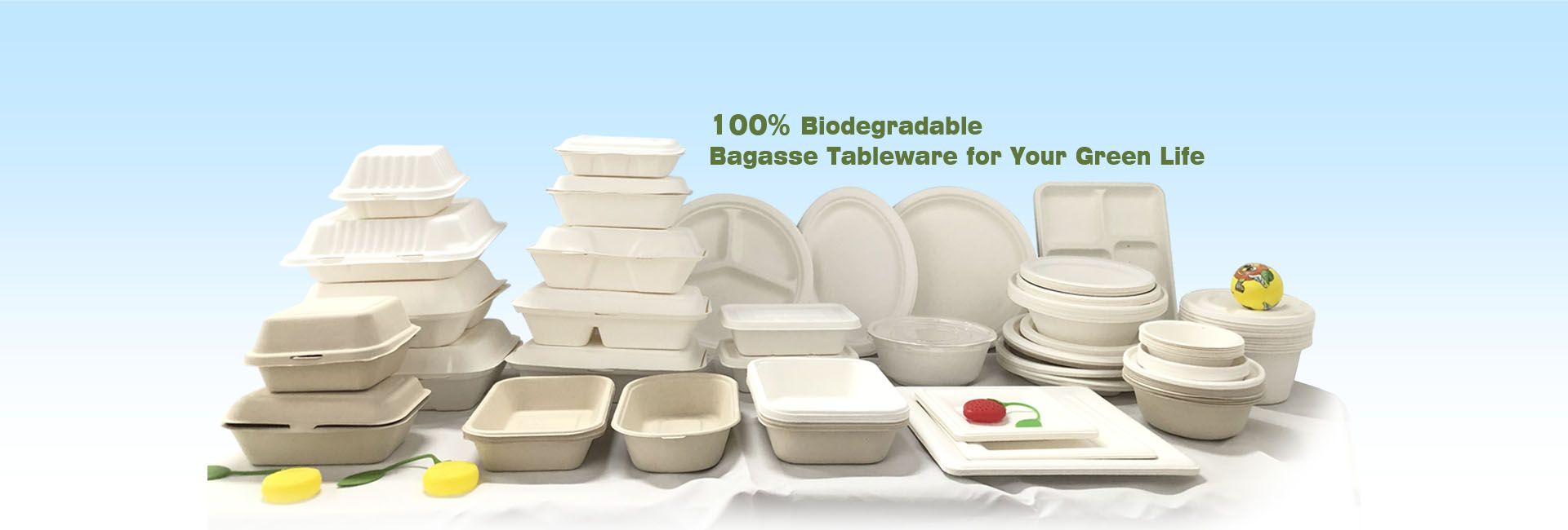 Bagasse tableware