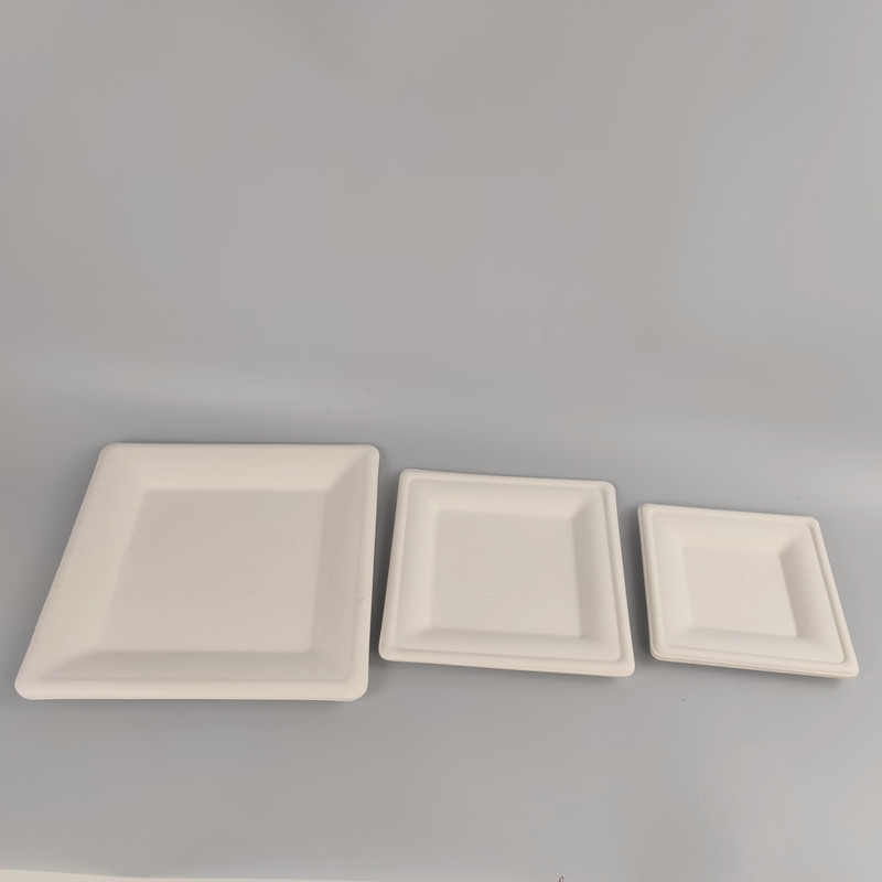 bagasse disposable plate