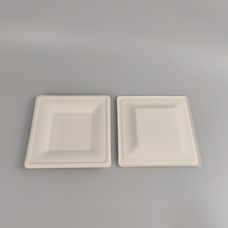 disposable plates from bagasse