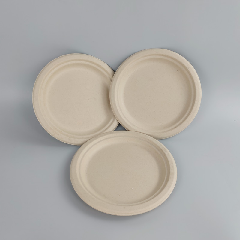 sugarcane bagasse disposable tableware