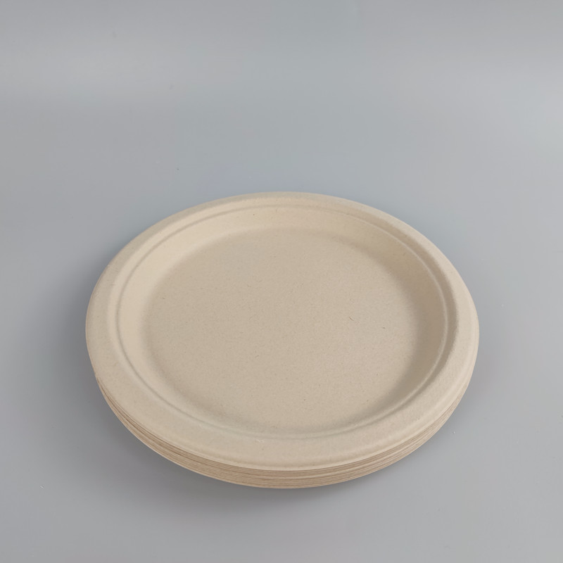 sugarcane biodegradable plates