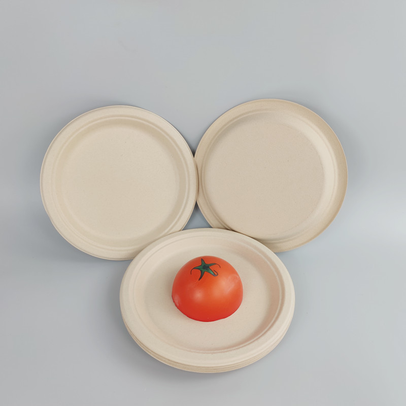 biodegradable bagasse plates