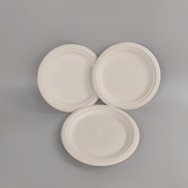 sugarcane bagasse disposable tableware