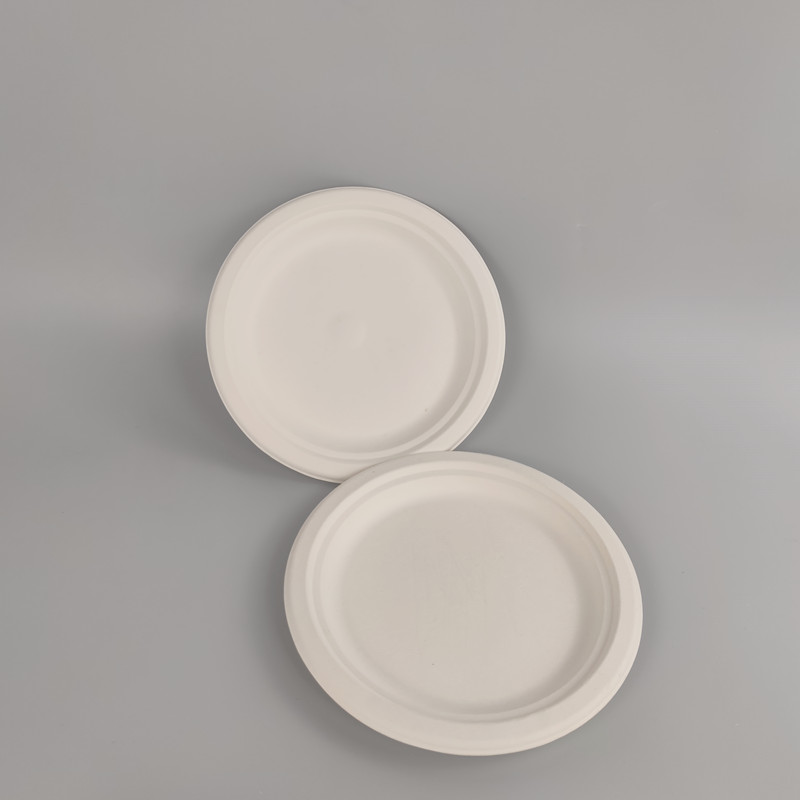 sugarcane compostable plates