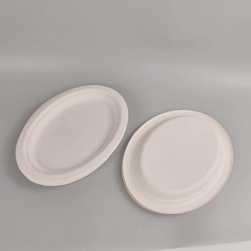 biodegradable bagasse plates