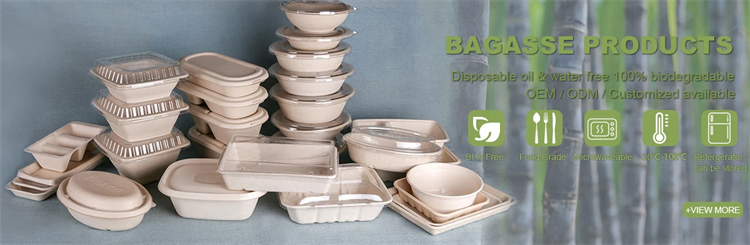 no added pfas bagasse food container