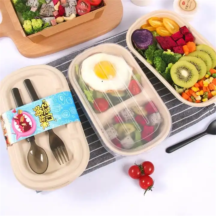 food container bagasse pulp salad bowl tray