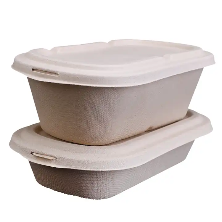 disposable clamshell bagasse food square bowl container