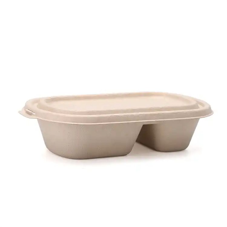 bagasse food container bowl 2 sections