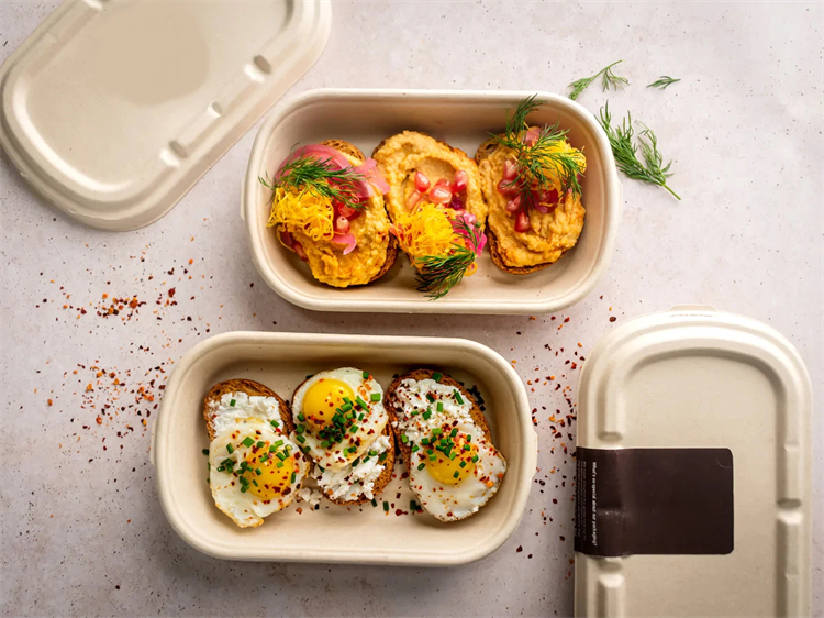biodegradable bagasse clamshell lunch box