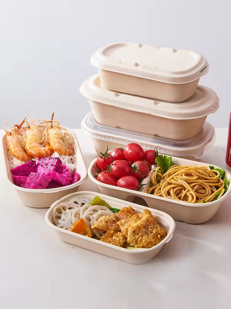 seperate bagasse 2 compartment lunch box