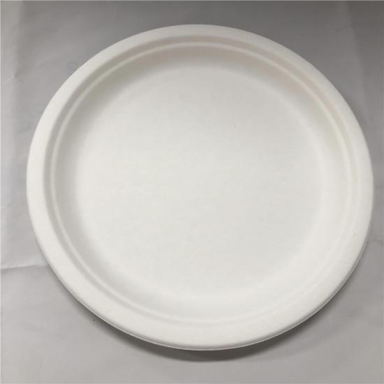 Sugarcane Bagasse Plates