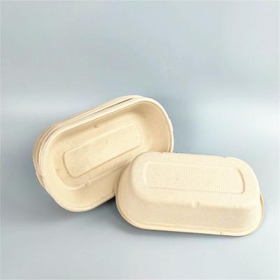 bagasse pulb storage box