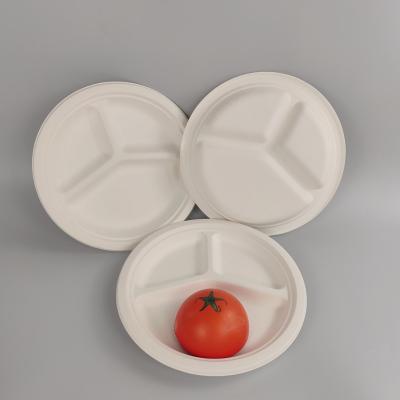 Biodegradable bagasse plates manufacturing