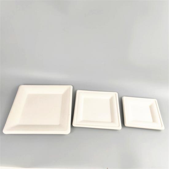 sugarcane bagasse tray