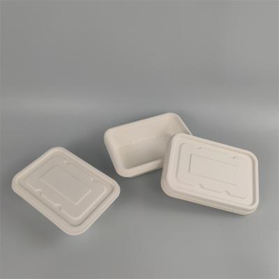 Disposable Sugarcane Bagasse Lunch Boxes with Lids