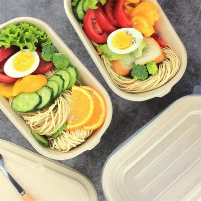 Biodegradable sugarcane pulp Food Packaging Containers with Lid