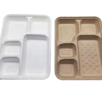 Wholesale Takeaway Bagasse Food Lunch Tray