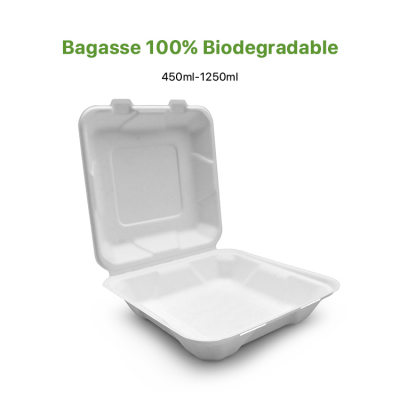 Bagasse Paper Pulp Food Lunch Box for Restaurant