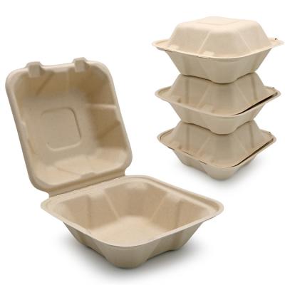 Takeaway 100% Bagasse Food Container Lunch Boxes