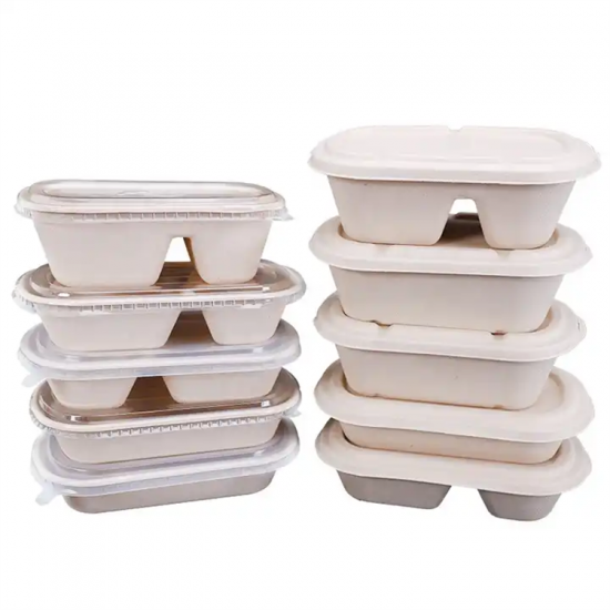 bagasse food container